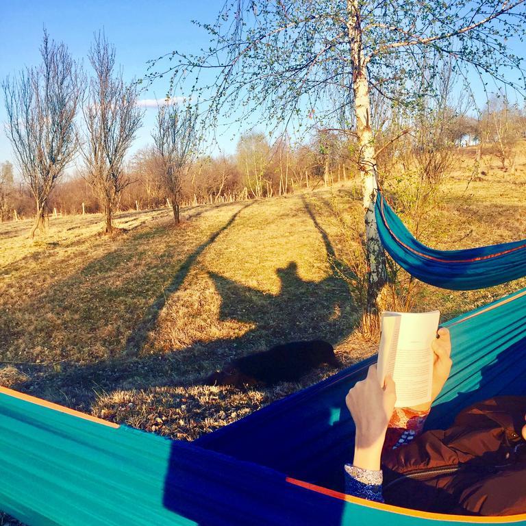 Pensiunea Gradina Ascunsa Bughea de Jos المظهر الخارجي الصورة