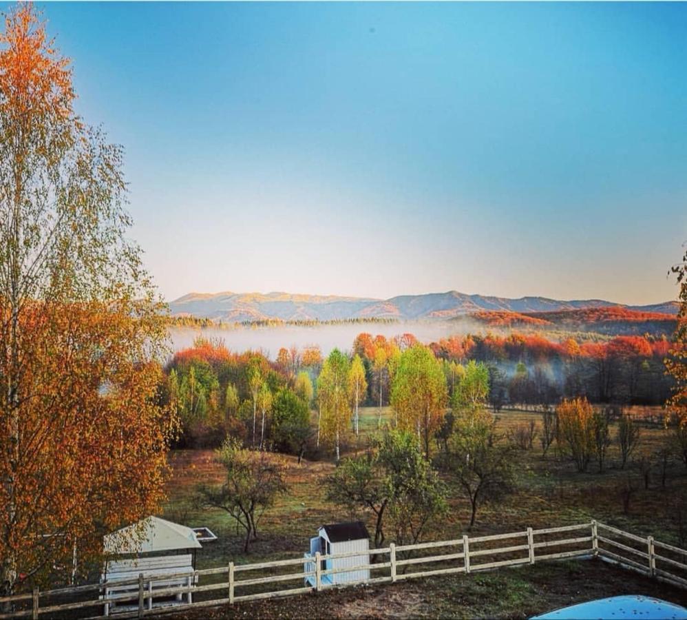 Pensiunea Gradina Ascunsa Bughea de Jos المظهر الخارجي الصورة
