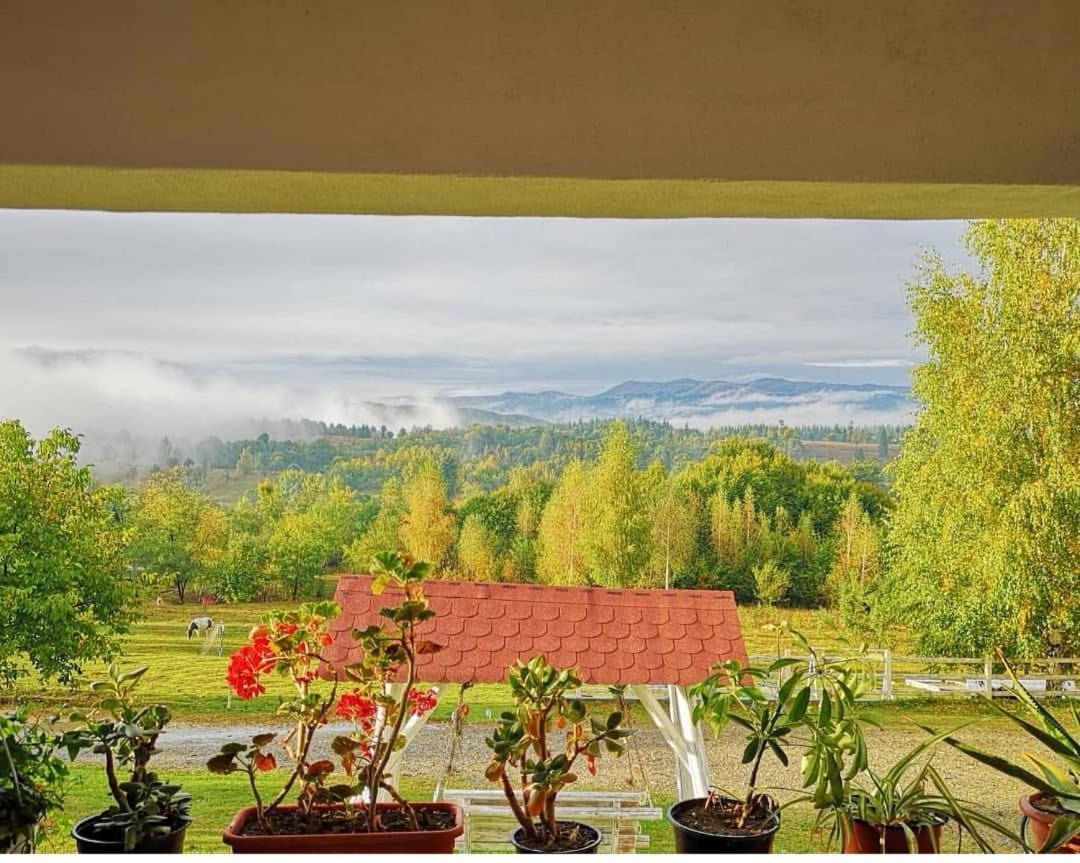 Pensiunea Gradina Ascunsa Bughea de Jos المظهر الخارجي الصورة